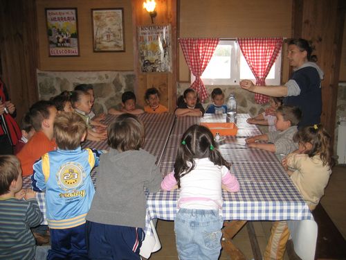 morille2008