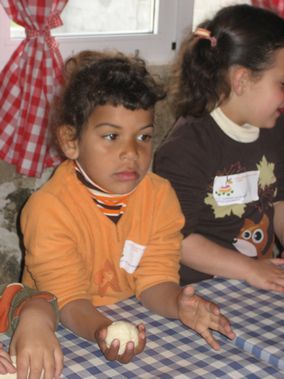 morille2008